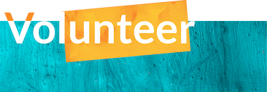 Volunteer Logo